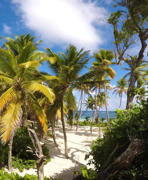 Martinique